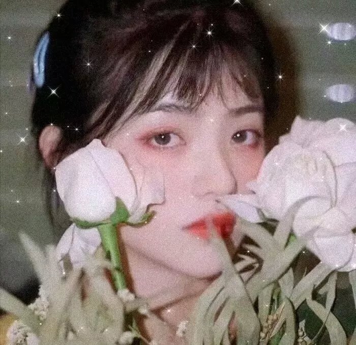 玫瑰的故事